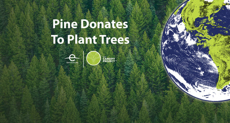 Pine Donates to EarthDay.org and The Canopy Project to Plant Trees